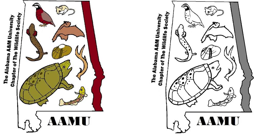 The Wildlife Society AAMU Student Chapter logo